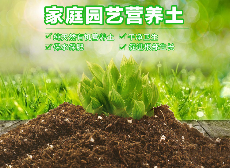 園藝營養(yǎng)土