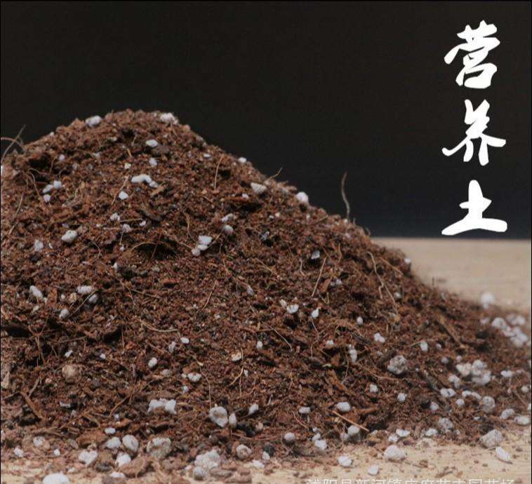 園藝營養(yǎng)土